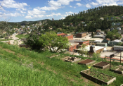 Mile High Community Garden